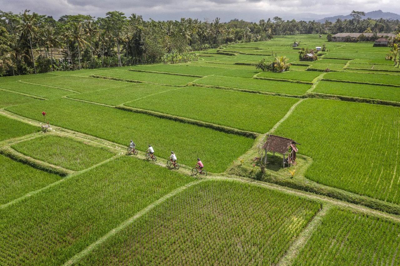 Four Seasons Resort Bali At Sayan Ουμπούντ Εξωτερικό φωτογραφία